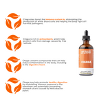 Chaga Mushroom 100ml