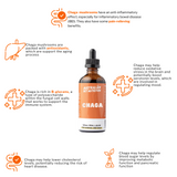 Chaga Mushroom 100ml