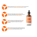 Reishi Mushroom 100ml