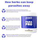 Para pro Vet-approved gut supplements
Prebiotic supplements for pets Natural gut health blend worming pet worming dog wormer dog de-wormer