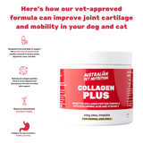 Collagen Plus natural joint pain remedy hip and joint health joint rejuvenation for dogs