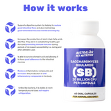 SB Saccharomyces Pet Probiotic Dog Probiotic Allergy Probiotic Low-allergy gut support for pets Herbal digestive aid for pets Cat gut supplement Raw digestion support for pets Vet-approved gut supplements Prebiotic supplements for pets Natural gut health blend