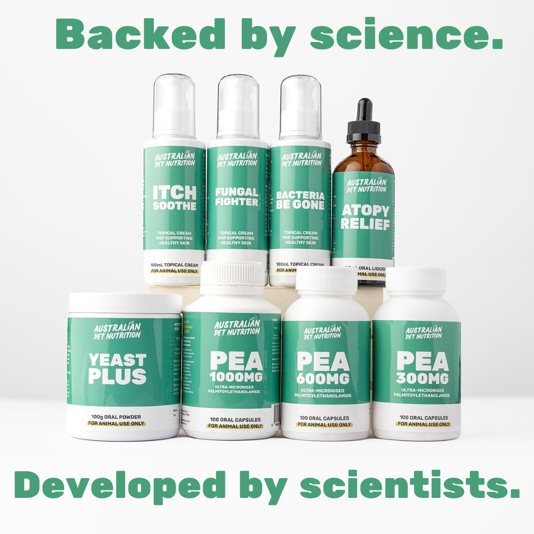 topical cream for dogs and cats bacteria clear ringworm treatment staph treatment natural skin cream for dogs and cats