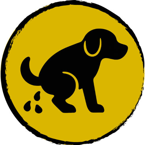 Diarrhoea and IBS