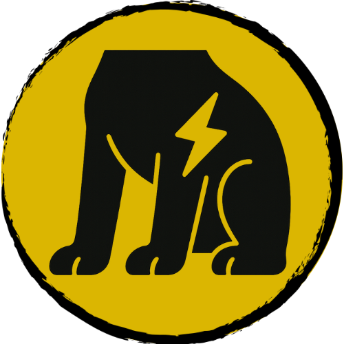 Joint Issues