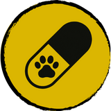 Pain Management
