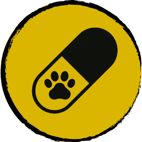 Pain Management