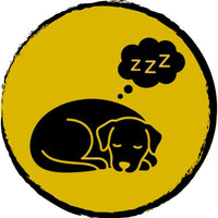 Changes in Activity Levels and sleeping patterns