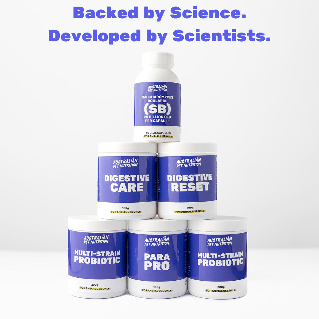 Pet digestive supplements Dog digestive health Cat gut health Natural digestion aid for pets Digestive aid for dogs Cat digestive support Probiotic pet supplements Dog gut health supplements
Digestive enzymes for pets