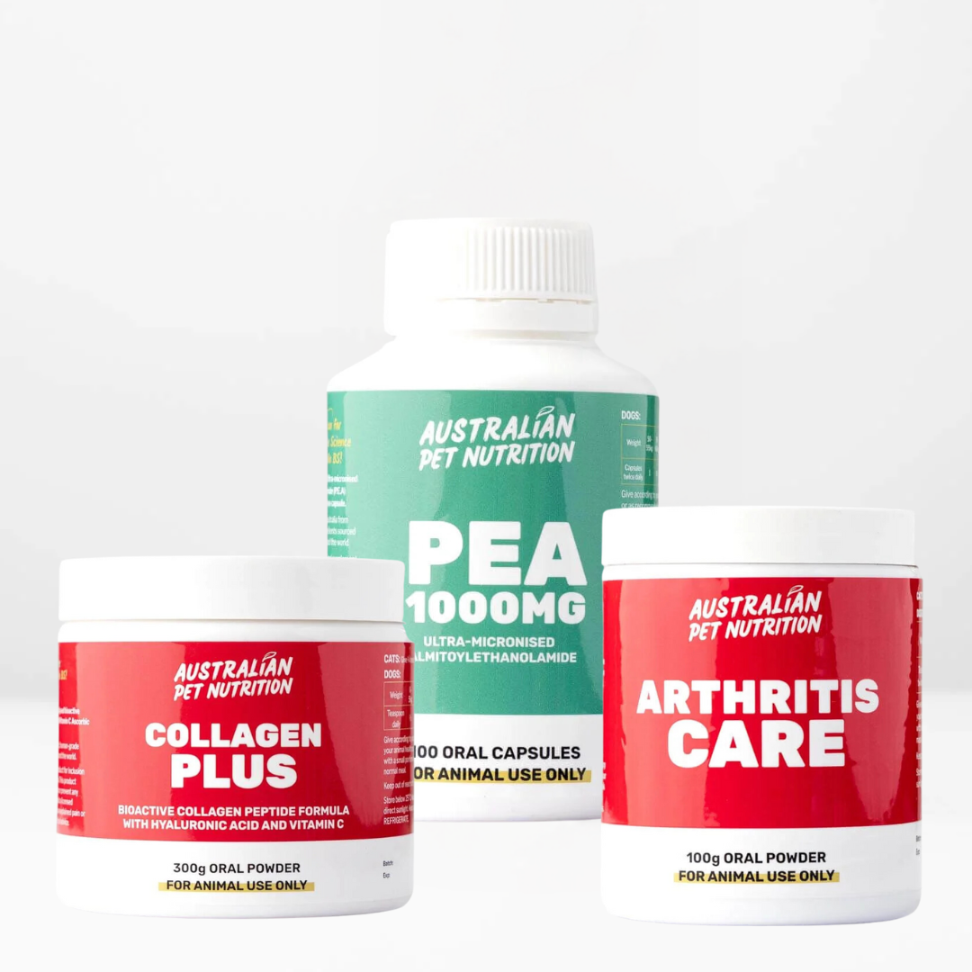 Dog Arthritis Dog mobility support Vet-approved pet care bundle
Pet holistic care kits
Pet mobility and energy package
Pet joint care package
Complete pet nutrition bundle
Herbal pet joint care packs
Tailored pet health kits
