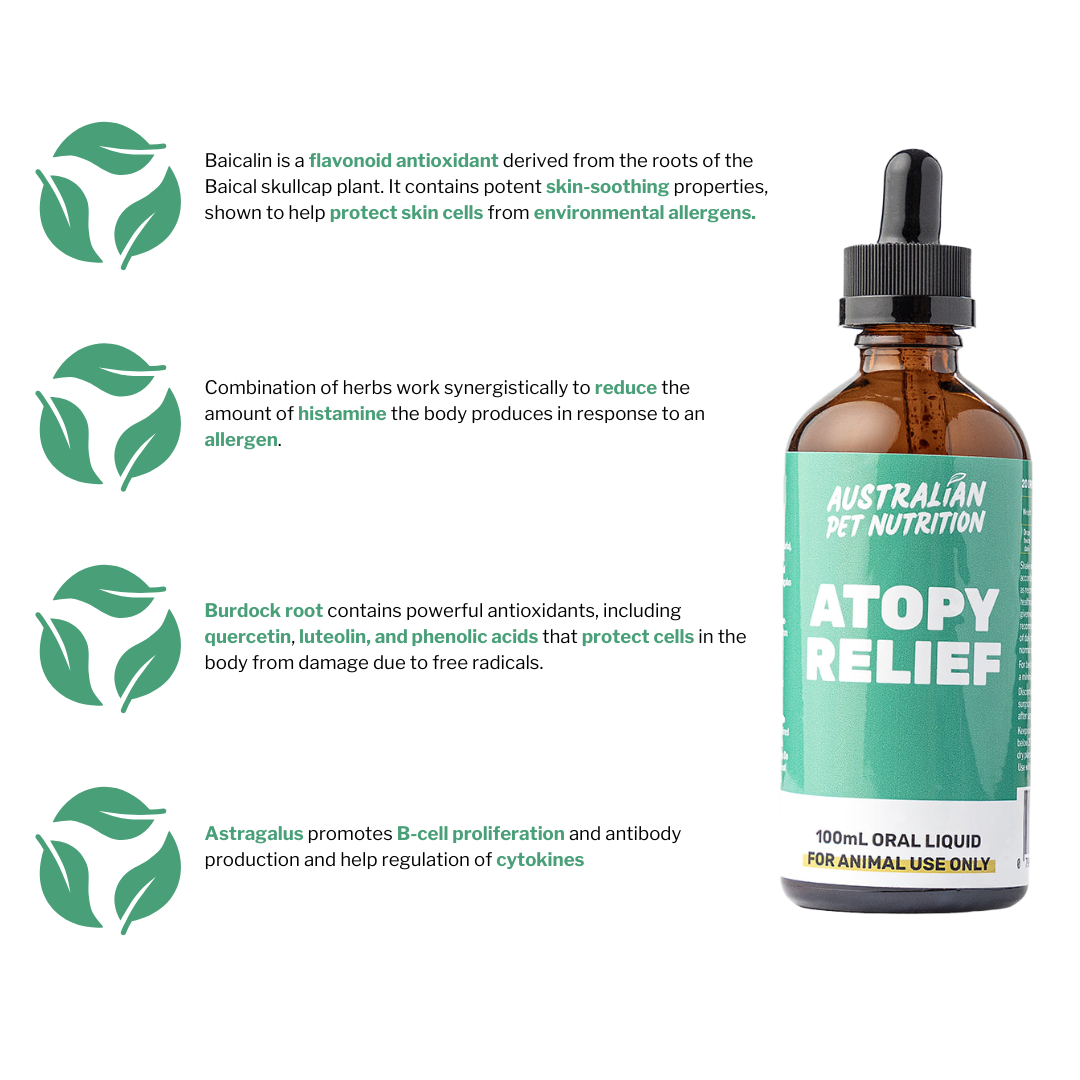 Atopy Relief 100ml – Australianpetnutrition