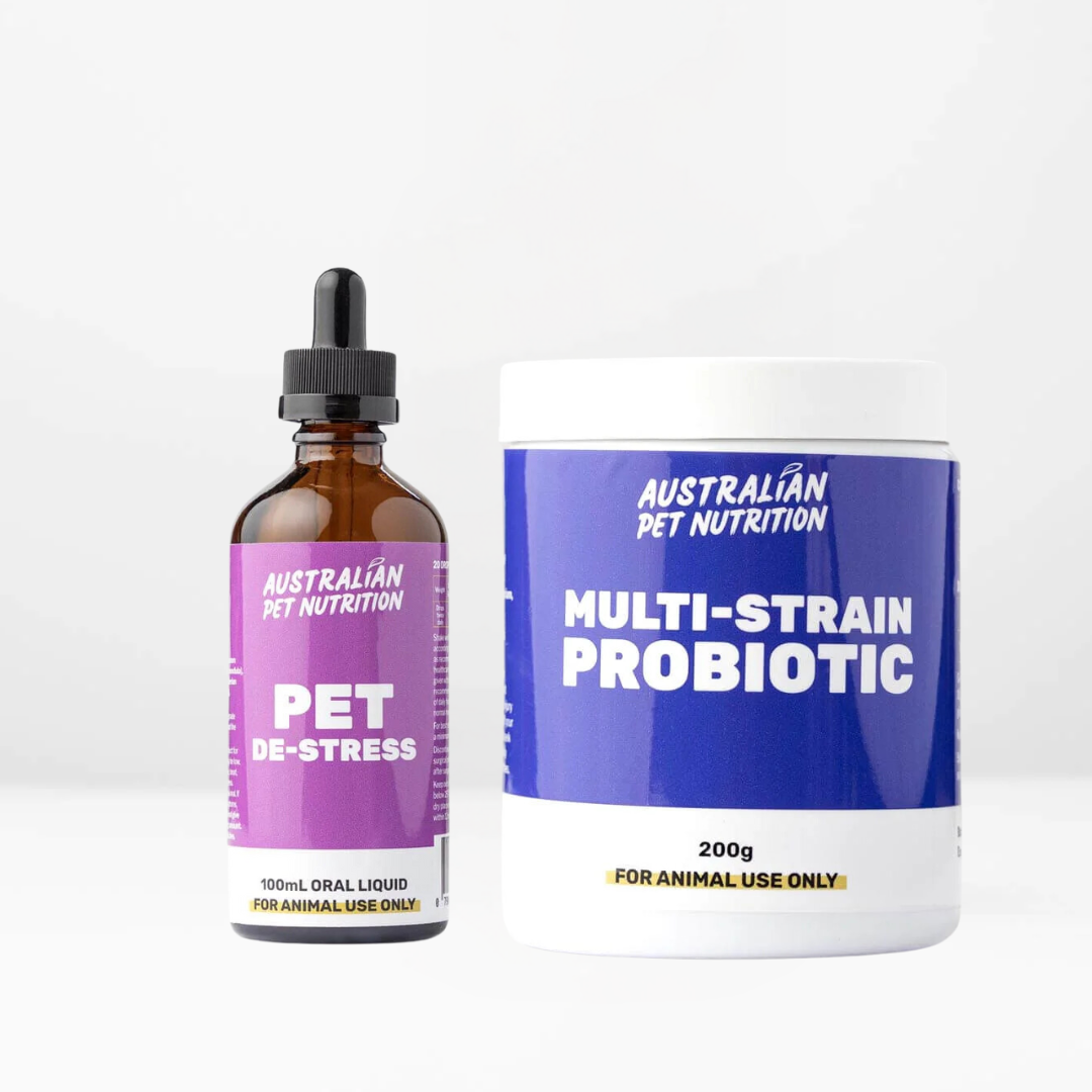 Dog anxiety relief separation anxiety relief dog calming supplements dog stress relief supplements dog anxiety support