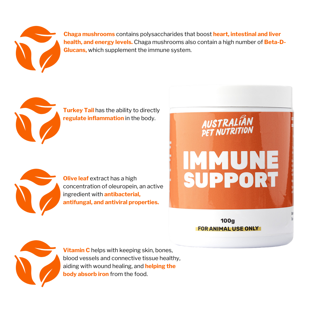 Immune Support 100g – Australianpetnutrition