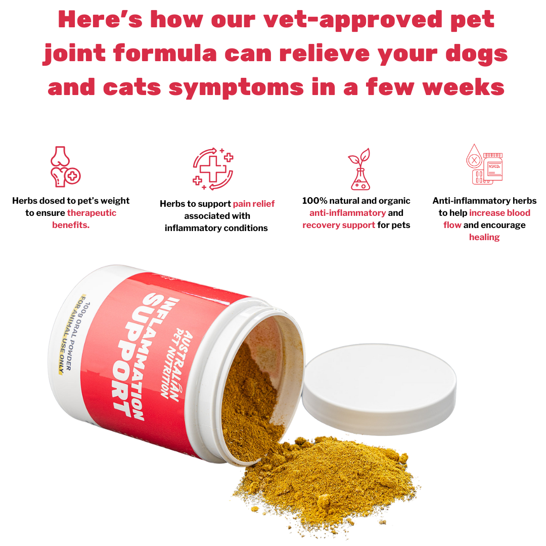 Inflammation support turmeric joint care for dogs natural pain care for dogs vet-approved joint care for dog