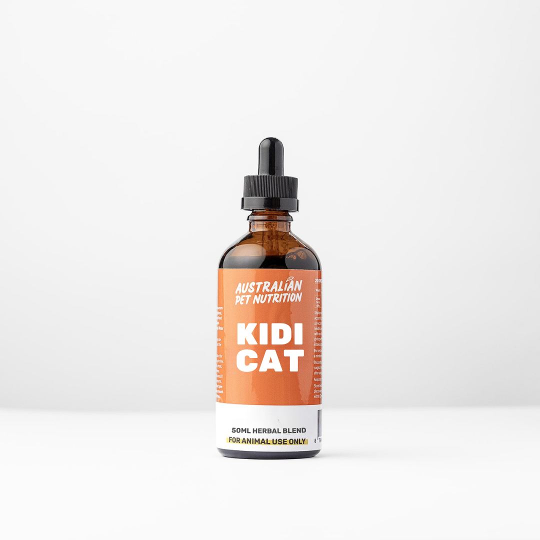 Kidi Cat 50ml