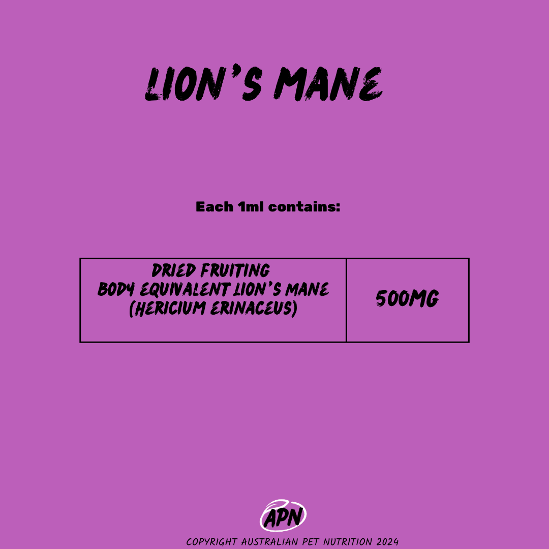 Lion's Mane Extract 100ml