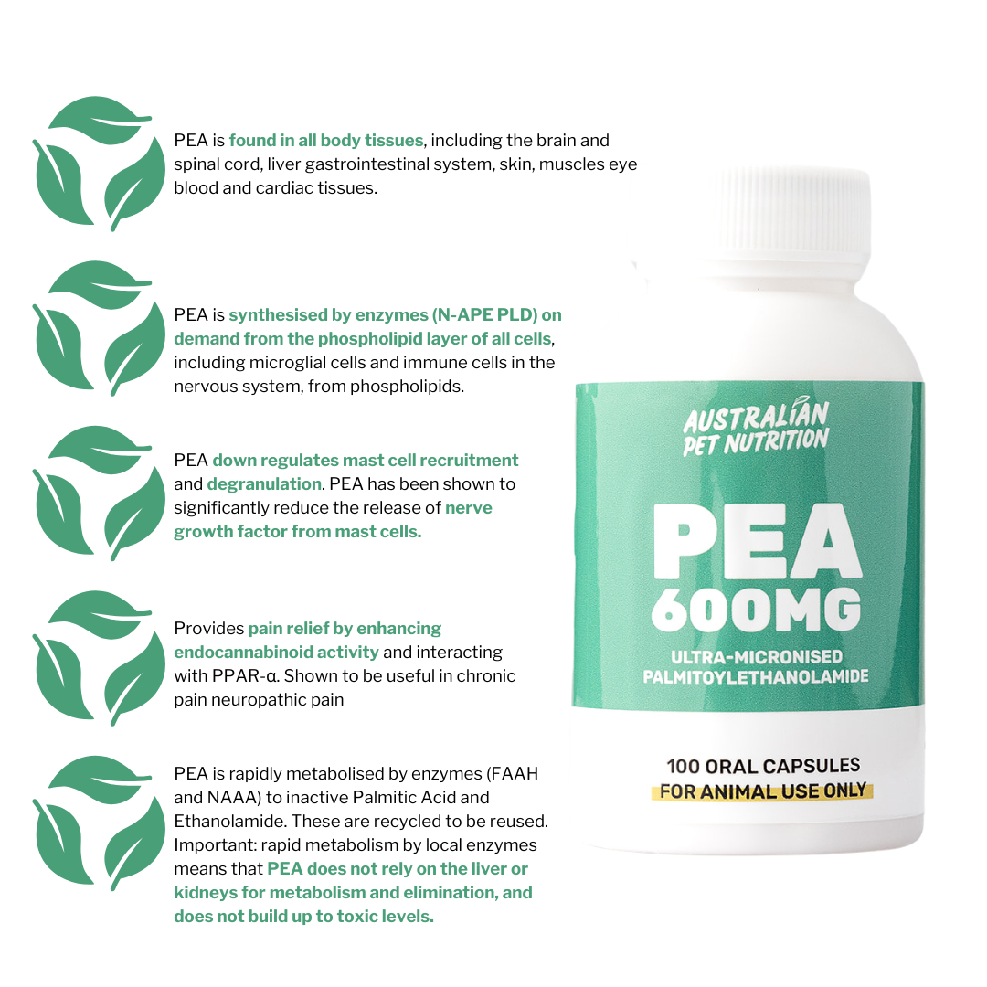 All-natural joint pain remedies Vet-approved joint care for dogs Active mobility pet supplements Joint rejuvenation for cats Joint care for dogs
Mobility support for pets
Natural joint supplements for dogs
Pain relief for aging dogs
Dog arthritis care supplements
Herbal joint support for pets PEA P-E-A 