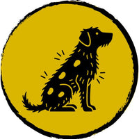 Poor skin and coat (hot spots, hair loss)