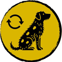 Recurring Skin Infection