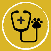 Veterinary Professional Developed