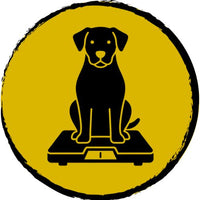 Weight management issues (loss or gain)